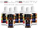 CELL ReActiv Programm 2
